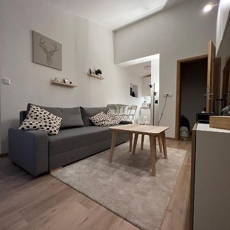 Apartman U Potoka Долні-Морава Екстер'єр фото